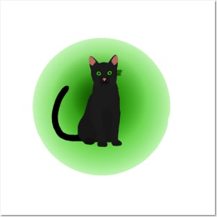 Hollyleaf warrior cat Posters and Art